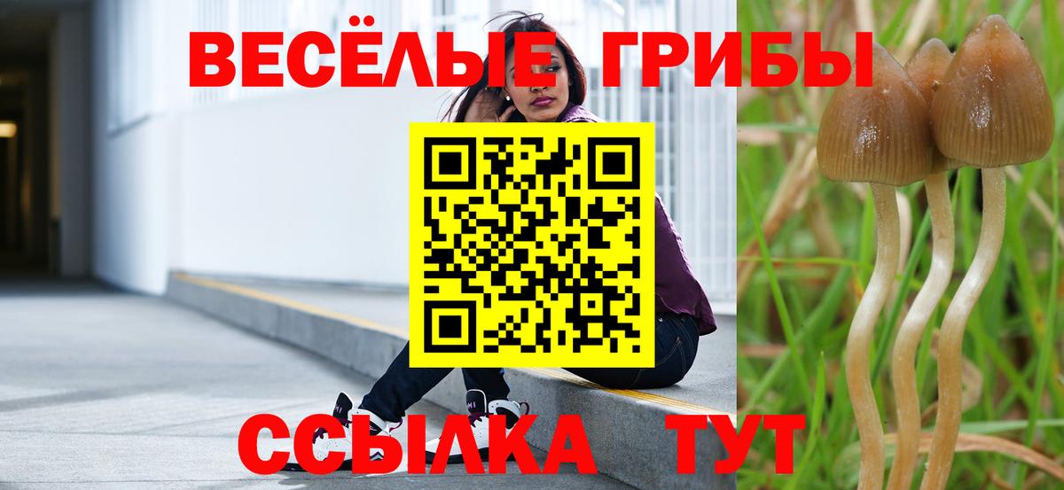 Первоуральск  Псилоцибиновые грибы Psilocybine cubensis  Вход с VPN 