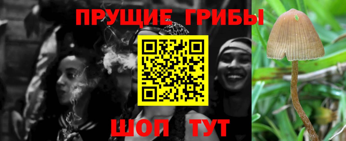 Псилоцибиновые грибы Psilocybe Первоуральск